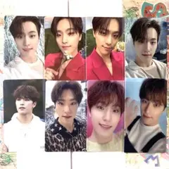 ディノ トレカ セット