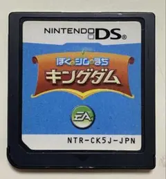 DS ぼくとシムのまち キングダム