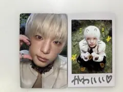 &TEAM BtL weverse global ハルア　トレカセット