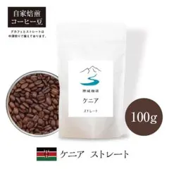 自家焙煎コーヒー豆 ケニア ストレート 中深煎り 100gのサムネイル