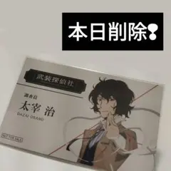 とっぷん様 リクエスト 2点 まとめ商品