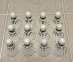 2025年最新】バドミントン シャトル ヨネックス ニュー