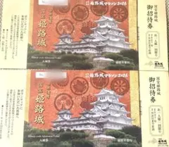 姫路城　入城券　2枚セットのサムネイル