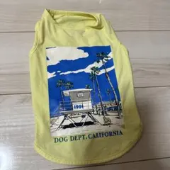 Item thumbnail for item 883e3ac0-34f4-427b-b6b5-d9c85e6475fc