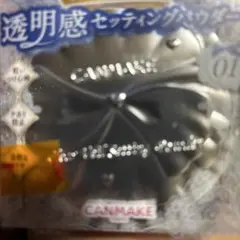 CANMAKE クリアヴェールセッティングパウダー 01