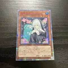 儚無みずき　20th アジア 2025年最新】儚無みずき 20thの人気アイテム - メルカリ