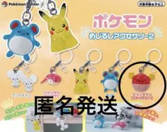 ポケモン めじるしアクセサリー2 ビリリダマのスピードスター！