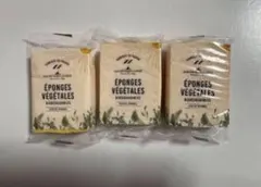 Item thumbnail for item 128fe215-e0ff-473f-bfc1-0a0ff3de3521