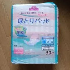 Item thumbnail for item 4cd914d7-9c03-4945-89a4-a630bf3d36ae