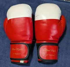 CLETO REYES ボクシンググローブ プロフェッショナル レッド10オンス