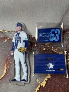 横浜DeNAベイスターズ BlueMates アクリルスタンド 中川颯選手