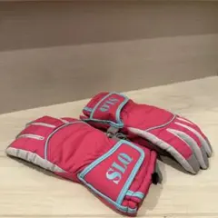 スキーグローブ