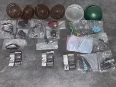 いきもの大図鑑　クワガタ　チョウ　ガチャ　アオスジアゲハ　ニジイロクワガタ