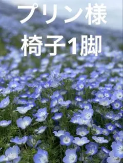 カンディハウス　ダイニングチェア