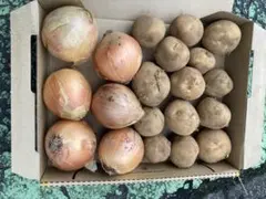 新じゃが・新玉ねぎのサムネイル