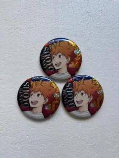 ハイキュー!! 缶バッジ 日向翔陽 セット ホロ まとめ売り