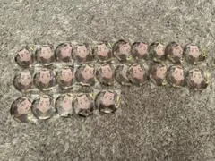 Item thumbnail for item d1999504-3225-411d-8623-cbf0fe9d0985