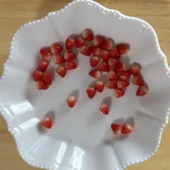 樹脂粘土　ミニチュア　苺　30個　約7ミリ