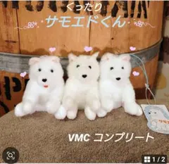 くったりサモエドくん☘️VMC コンプリートセット かわいい サモエド