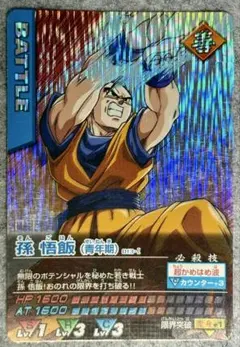 ドラゴンボールデータカードダス　激レア　孫悟飯(青年期) 013-Ⅰ