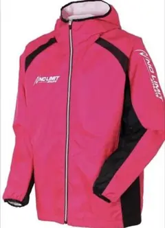 Item thumbnail for item a8d4c1ac-f247-483d-81cb-d2992fc80a4d