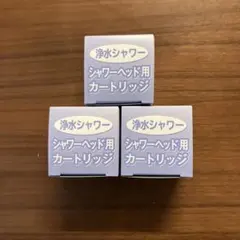 Item thumbnail for item 5d2a1ad9-dfa9-4f85-83f4-1191266c5162