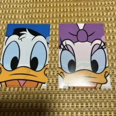 東京ディズニーリゾート ドナルド・デイジー クリアファイル2枚セット
