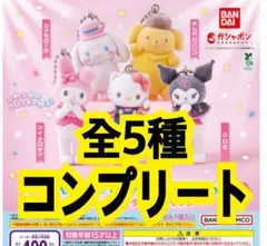 サンリオキャラクターズ　ミニチュアチャームライブキャラクター　全５種コンプリート