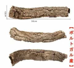 2025年最新】コルク樹皮 キャノンの人気アイテム - メルカリ