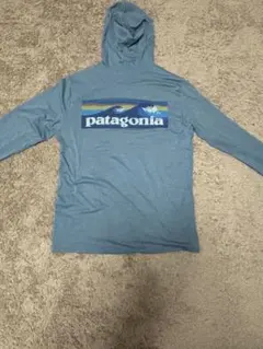 Patagonia キャプリーン・クール・デイリー・グラフィック・フーディ