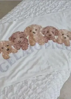 ジェラートピケ　ジャガードブランケット　トイプードル　新品未開封