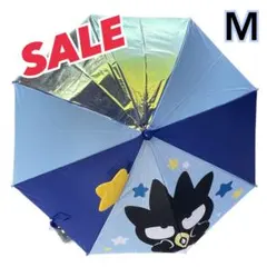 Item thumbnail for item c14bd2cb-22c7-4c8b-a266-1704ea260ad0