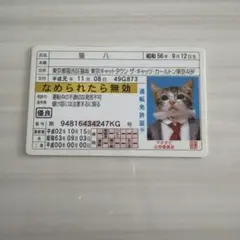 2026年最新】なめ猫カードの人気アイテム - メルカリ