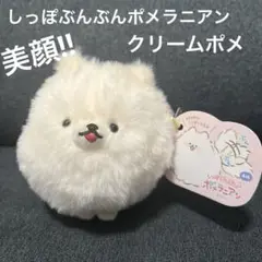 ★新品未使用品★しっぽぶんぶんポメラニアン　クリームポメ　ぬいぐるみ