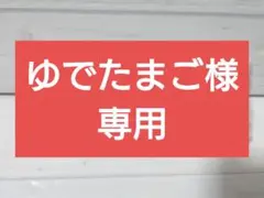 【ゆでたまご様専用】キングダム　一番くじ　D賞　ちょこのっこ　ラバーチャーム