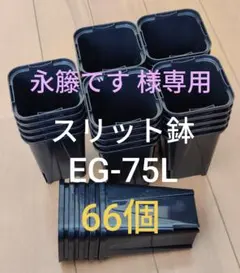 【永籐です様専用】スリット鉢7.5cm 角型ロングタイプ EG-75L型 66個のサムネイル