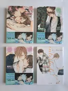 美しい彼 4巻セット