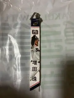 増田珠選手　ボンフィン