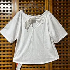 Item thumbnail for item 212e074d-0e71-4d8c-bf53-efd68a125766