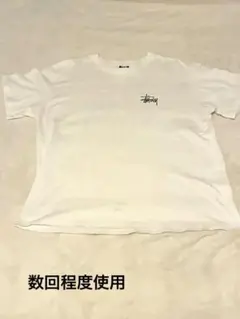 STUSSY Tシャツ ホワイト バックロゴ入り　最終値下げ！破格のサムネイル