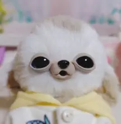 チワボボちゃん 　おしゃぶり付き　アートドール　ぬいぐるみ