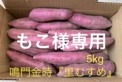 里浦産　鳴門金時　砂付き Mサイズ　5kg