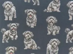 【ゆきちゃん限定】X2489-1 マルプー シルバー（グレー） 紺 生地 1m