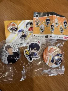 ハイキュー　影山飛雄 日向翔陽 宮侑 缶バッチ　チャーム3個セット