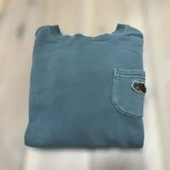 フルーツオブザルーム　トレーナー　110