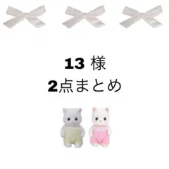 13様 リクエスト 2点 まとめ商品