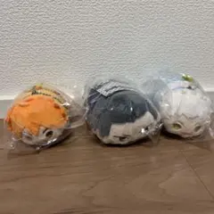 ハイキュー もちもちマスコット 日向翔陽 田中龍之介 星海光来