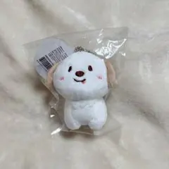 RIIZE アントン 10cm キーリング ぬいぐるみ