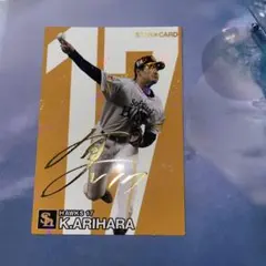 Item thumbnail for item 675b208e-0e8d-40dc-8964-edf95ccb5491