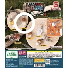 なめこ栽培キット 2めじるしアクセサリー